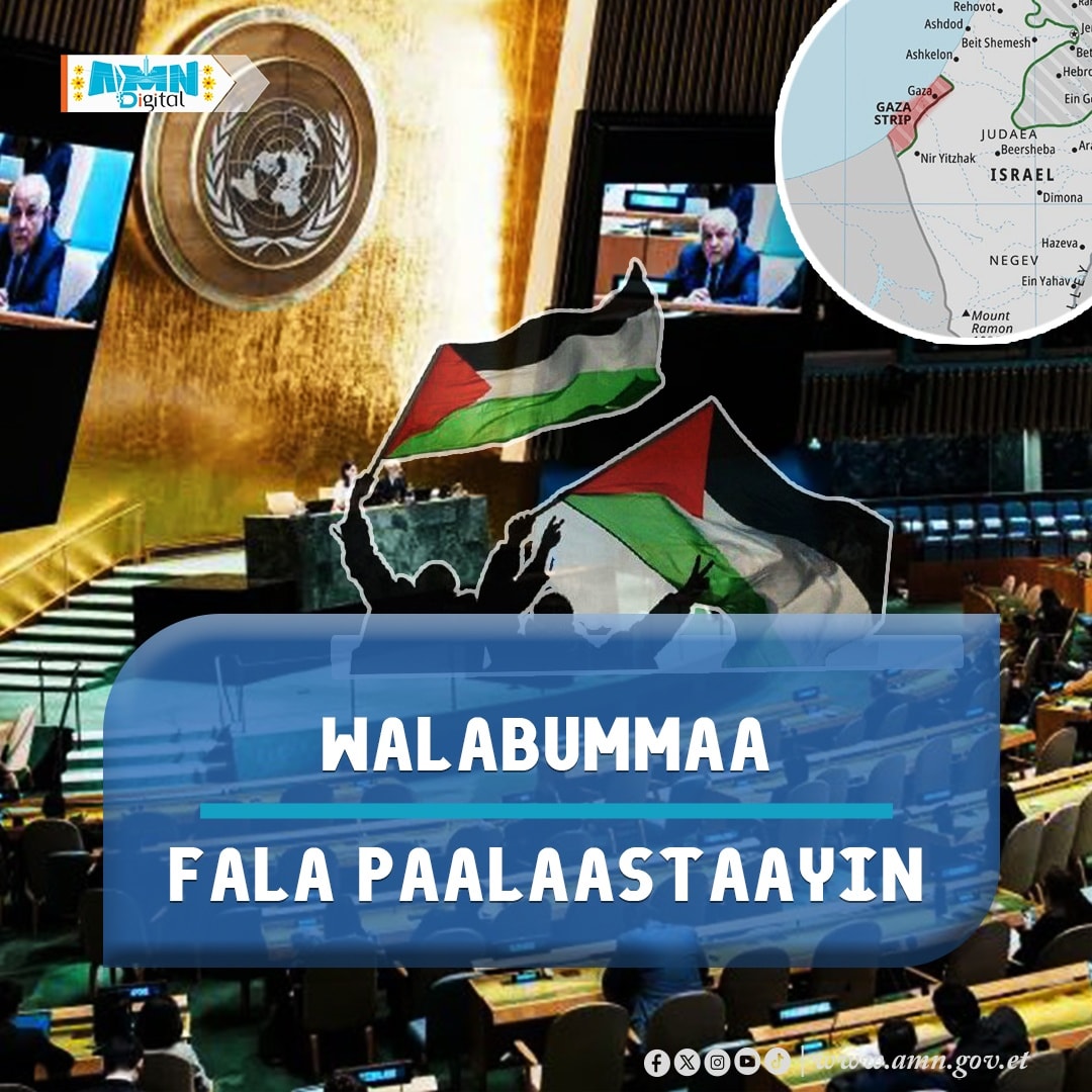 You are currently viewing Furmaatni Biyya Walabaa Lama hundeessuu “Two State Solution” rakkoo Israa’eliifi Paalastaayin gidduu akkamiin furuu danda’a?