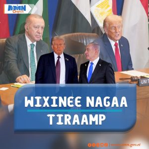 Read more about the article Israa’eliifi ‎Paalastaayin wixinee dhukaasa dhaabuu Tiraampiin dhiyaate simatan