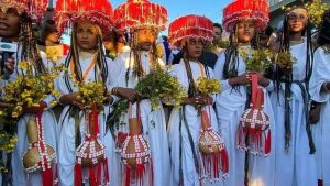 Read more about the article Coqorsa akkamii qabatanii malkaa bu’u?