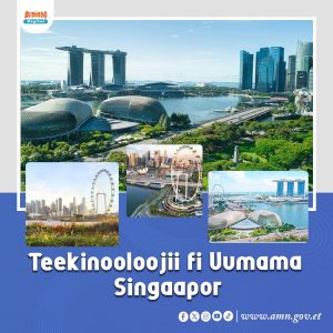 Read more about the article Teeknooloojii fi uumama wal sime- Singaapor