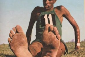 Read more about the article Dhukkubbii, Kufaatii, Cichoomina, Injifannoo