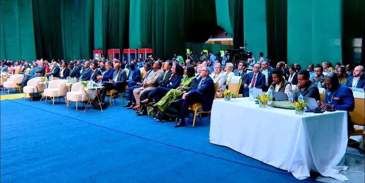 You are currently viewing Walitti dhufeenyi biyyoota Afrikaa gama investimentiin cimuu qaba – Geediyoon Xiimotiwoos (PhD)