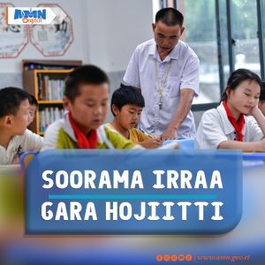 Read more about the article Chaayinaan barsiisota soorama ba’an kuma 7 deebistee qacaruufi