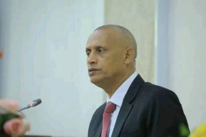 Read more about the article Manni Maree Federeeshinii yaa’ii idilee isaa jalqabaa adeemsisaa jira