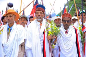 Read more about the article Irreechi Hora Wancii kabajameera