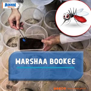 Read more about the article Biyya dhibee ittisuuf jecha Bookee oomishtu- Biraaziil