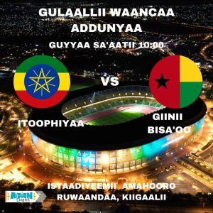 Read more about the article Itoophiyaan gulaallii Waancaa Addunyaan Giinii Bisa’oo waliin har’a morkatti