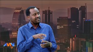 Read more about the article Seeronni Itoophiyaan ulaa galaanaa akka argattuuf deggeran jiru- Ogeessa Seeraa Maaruu Abdii