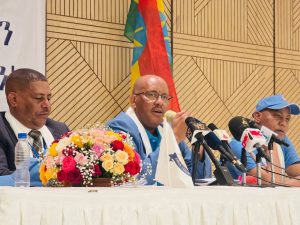 Read more about the article Faayidaan Biyyaalessaa akka mirkanaa’uuf hojjenna- Paartii Diimokiraatawaa Tigray