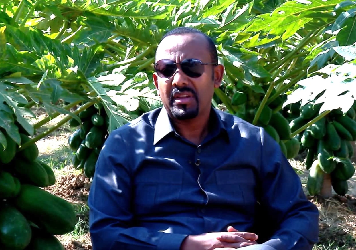 You are currently viewing “Uummata misoomaaf kutatee ka’e qabna, Waggaa 10 keessatti seenaa Itoophiyaa sadarkaa Afriikaatti jijjiirra” MM Abiyyi Ahimad (PhD)