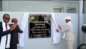 Read more about the article ‎Tajaajila qulqullina qabu kennuuf MASOB gumaacha olaanaa qaba- Obbo Tamasgeen Xurunaa