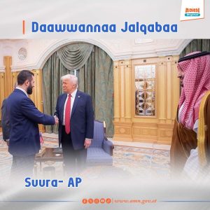 Read more about the article Namni Adamsamaa turan pirezidaantii ta’uun Waayit Haawusiin daawwachuuf