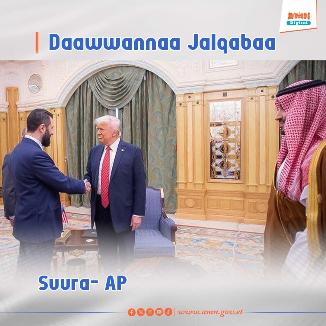 You are currently viewing Namni Adamsamaa turan pirezidaantii ta’uun Waayit Haawusiin daawwachuuf