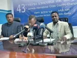 Read more about the article Fiigichi qaxxaamura biyyaa Jaanmeedaa Dilbata gaggeeffama