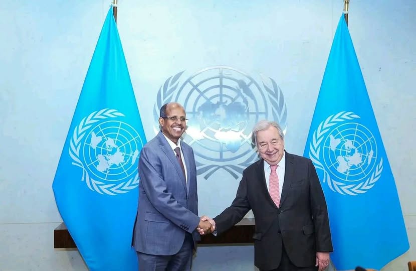 You are currently viewing AU fi UN nagaa, tasgabbiifi misooma waaraa mirkaneessuuf waliin hojjachuu akka itti fufan ibsan