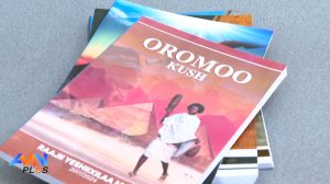 Read more about the article “Diimokiraasummaan Gadaa, haasaafi hawwii miti, dhugaa lafa jiruudha” – Raajii Yeshiixilaa Machii (PhD)