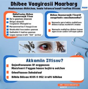 Read more about the article Mallattoo, Saaxilamummaafi Maloota Ittisa Dhibee Maalbarg