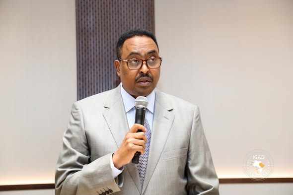 You are currently viewing Rakkoo Sudaaniif deebiin Idil Addunyaa qindaa’e barbaachisa- Doktar Warqinaa Gabayyoo