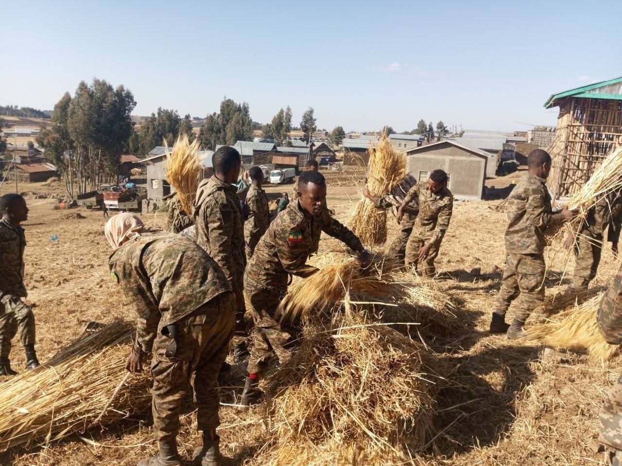 You are currently viewing Raayyaan Ittisaa lammiilee humna hin qabneef oomisha walitti qabaa jira