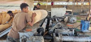 Read more about the article “Namni mul’ata qabu waan hojjetu hin dhabu!” Dargaggoota Magaalaa Shaambuu