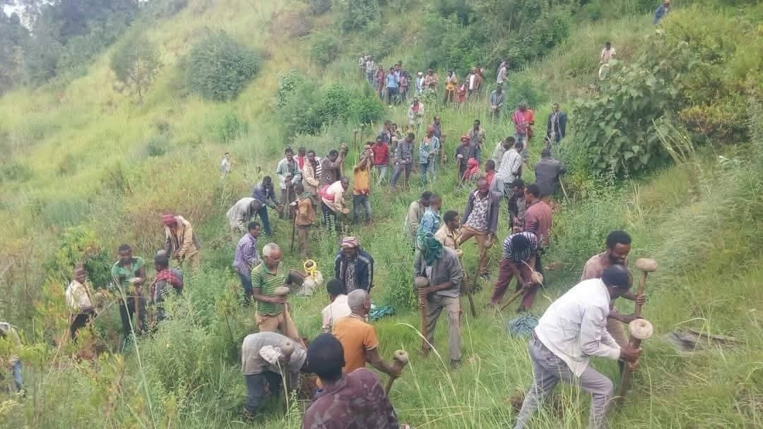 You are currently viewing Biqiltuun Ilmoodha, Waloon Baanee Haa Kunuunsinu – Pireezidaanti Shimallis Abdiisaan