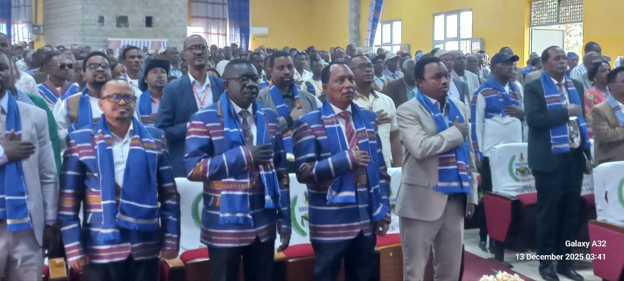 You are currently viewing Geediyoo Magaalaa Diillaatti mariin hawaasaa adeemsifamaa jira.