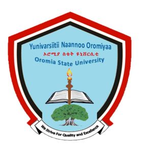 Read more about the article Yunivarsitiin Naannoo Oromiyaa ofiin of bulchuuf hojjataa jira- Garramuu Hulluuqaa (PhD)