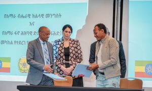 Read more about the article Mootummaa Naannoo Amaaraafi Faannoon waliigaltee nageenyaa mallatteessan