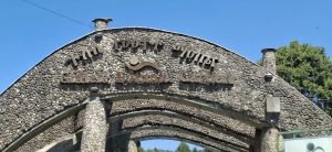 Read more about the article Mana Biqiltuuwwan Mandhalee- Gullallee