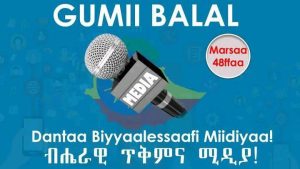 Read more about the article ‎Akkuma Loltuun cichee biyya eegu miidiyaaleen olola sobaa qolachuun dantaa biyyaa kabachiisuu qabu- Obbo Hayiluu Addunyaa