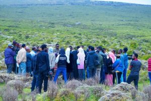 Read more about the article Ogeeyyiin miidiyaafi rogeeyyiin, Paarkii Biyyaalessaa Gaarreen Baalee daawwataa jiru