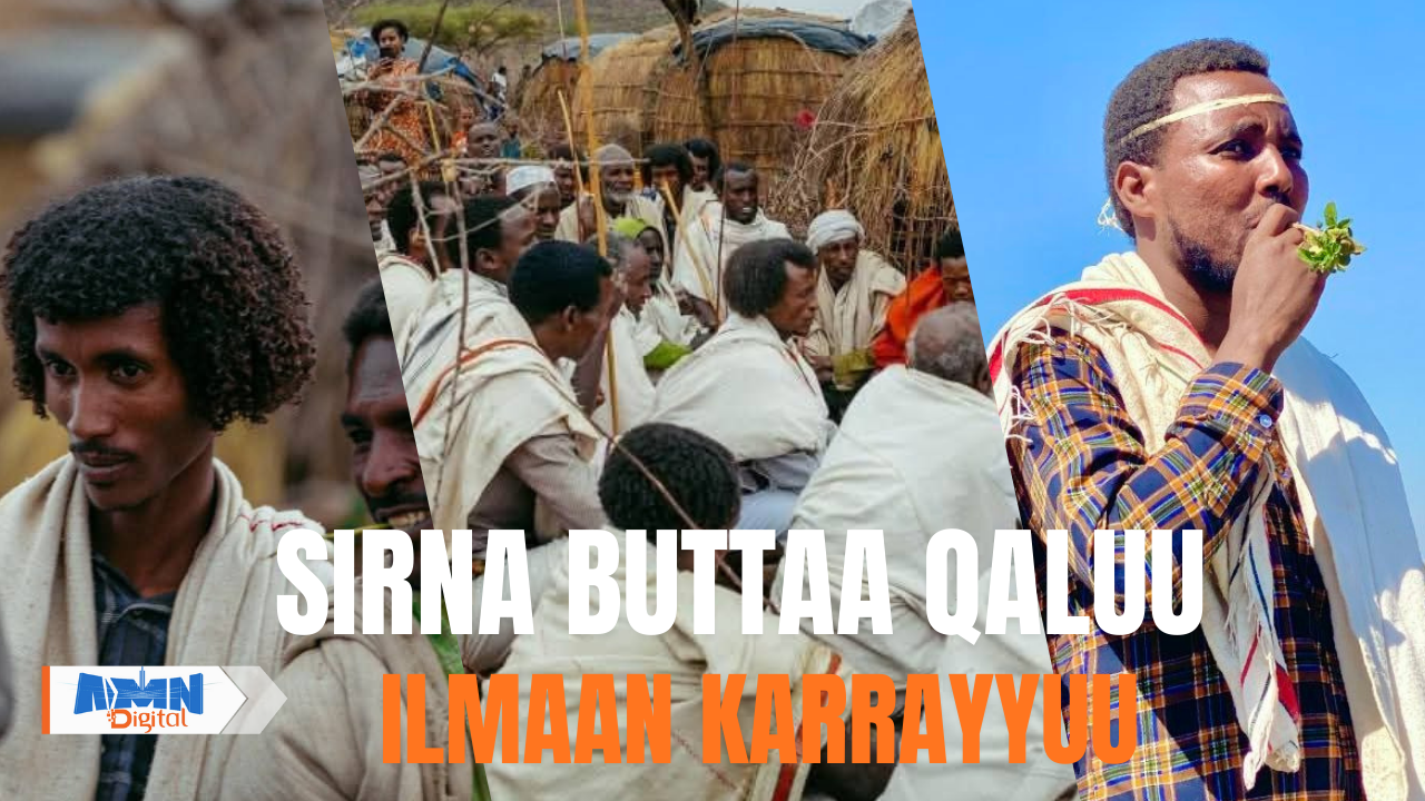 You are currently viewing Sirna Buttaa Qaluu Miseensa Gadaa Michillee Ilmaan Karrayyuu