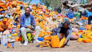 Read more about the article ‎Pilaastika gatame funaanuutii hanga namoota 20’f carraa hojii uumuutti