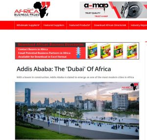 Read more about the article “Finfinneen Dubaayi Afriikaa taate” – Barruu Africa Business