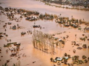 Read more about the article Zimbaabweetti balaa lolaa mudateen yoo xiqqaate lubbuun namoota 109 darbe