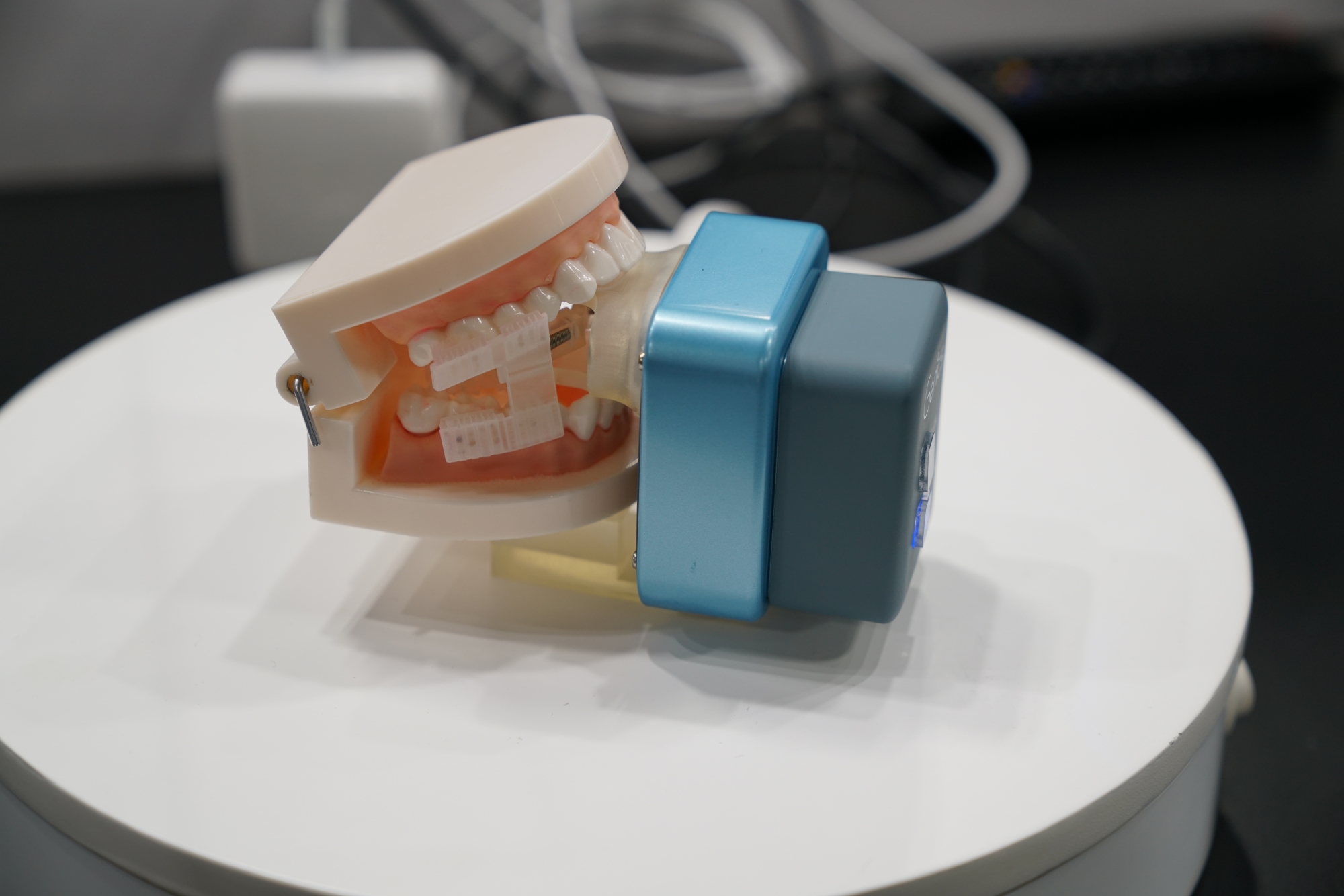 You are currently viewing Roobootiin ilkaan namaa rigu kalaqame