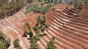 Read more about the article Biyyaafi biyyoo abbaatu eeggata – Pireezidaanti Shimallis Abdiisaa