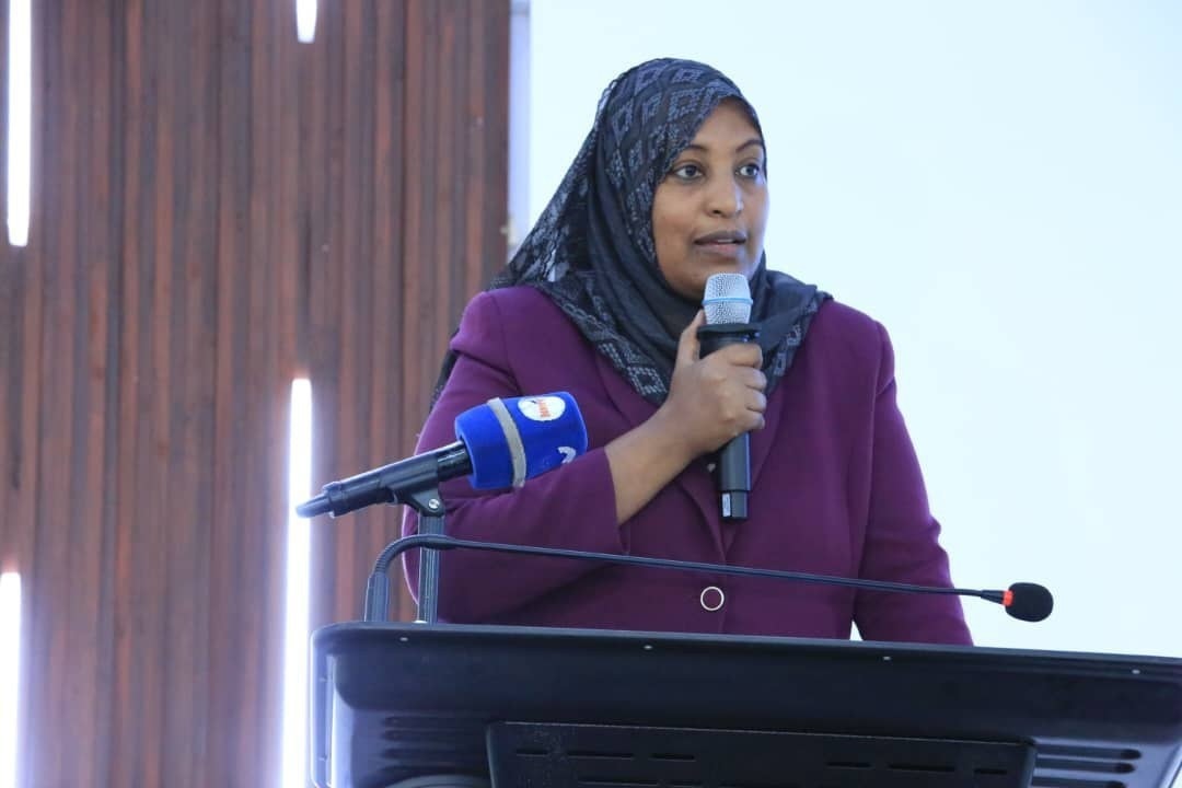 You are currently viewing Finfinneetti tajaajila daldalaa dijitaalessuun, gabaa tasgabbesseera- Biiroo Daldalaa