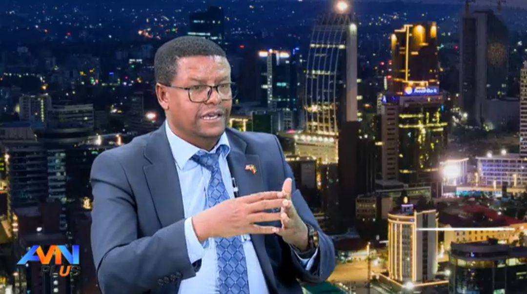 You are currently viewing Biyya dhalootaaf gaaddisa taatu ijaaruuf Galaana Diimaatti deebi’uun dirqama – Hayyoota