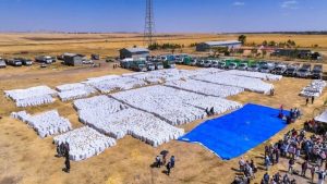 Read more about the article ‎Mootummaan, qonnaan bultoota gabaa naannoo wajjiin walitti hidhuun misooma baadiyyaa saffisiisaa jira- Waajjira Ministira Muummee