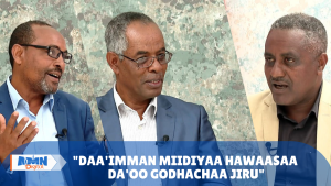 Read more about the article Daa’imman maatii dhiisanii, miidiyaa hawaasaa da’oo godhachaa jiru – Abbootii Amantaa