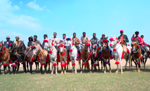 Read more about the article Gugsii fardaafi sirboota aadaa Tuulamaa tibba Ayyaana Cuuphaa