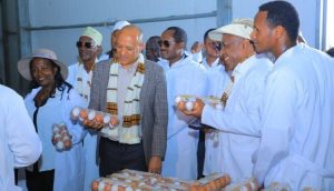 Read more about the article Inisheetiviin maaddii guutuu kabaja mootummaan lammiileefi biyyaaf qabu yaadama mirkaneessedha- Obbo Tamasgeen