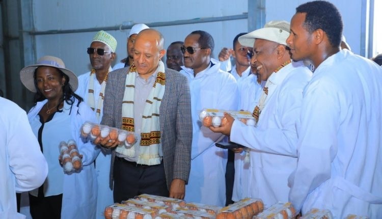 You are currently viewing Inisheetiviin maaddii guutuu kabaja mootummaan lammiileefi biyyaaf qabu yaadama mirkaneessedha- Obbo Tamasgeen