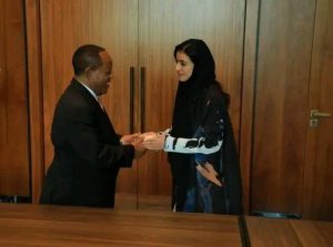 Read more about the article UN Itoophiyaatti hojii Tuurizimii babal’isuuf hojjatamaa jiru dinqisiifate