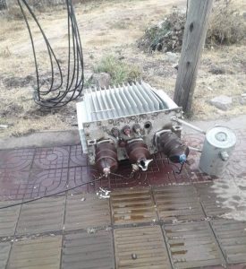 Read more about the article Yaalii saamichaa qabeenya uummataa tiraansfoormarii irratti taasiifame hordoffiifi tattaaffii cimaa humnoota nageenyaatiin fashalaa’eera