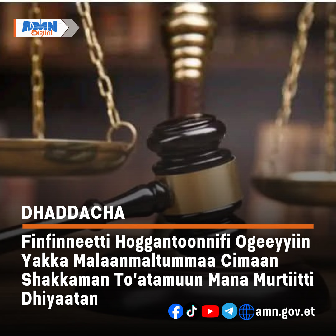 You are currently viewing Hogganaa I/A Biiroo Misoomaafi Bulchiinsa Lafaa Finfinnee duraanii dabalatee hoggantoonniifi hojjettootni 11 to’atamuun Mana Murtiitti dhiyaatan