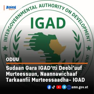 Read more about the article Sudaan hirmaannaa guutuu IGAD keessatti taasisuuf murtoon taasiste nageenya qaxanaa mirkaneessuuf murteessaa ta’uu himame