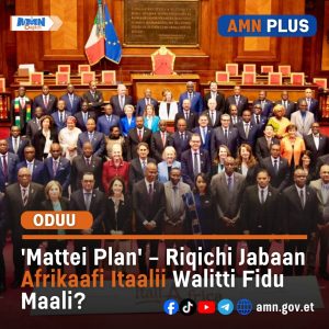 Read more about the article Riqicha jabaa Afrikaafi Itaaliin ittin walitti deddeebi’an – Karoora Mateyi (Mattei Plan)