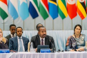 Read more about the article Waliin taanee hariiroo Afriikaa-Awurooppaa haaraa uumna- MM Abiyyi Ahimad